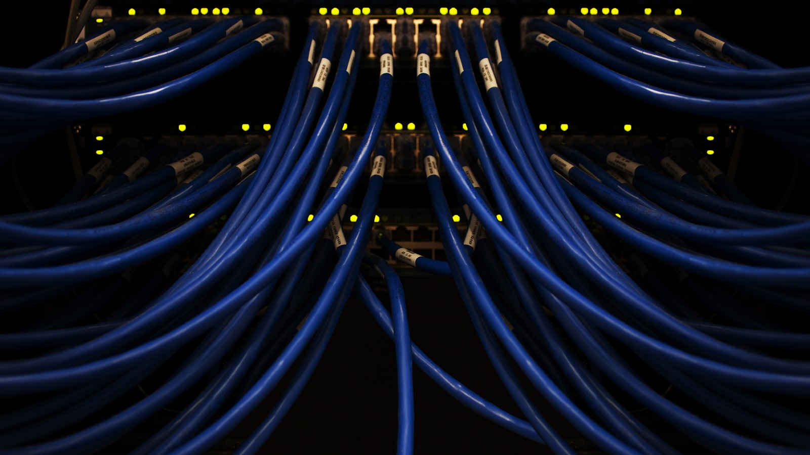 Tightly bundled blue network cables — fitting visual for a peer-to-peer torrent client routing through OpenVPN.